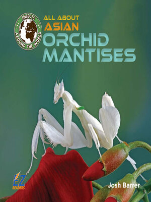 cover image of All About Asian Orchid Mantises